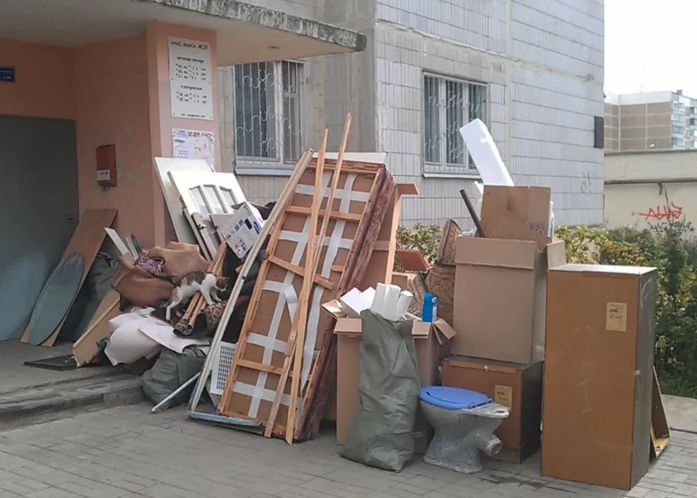 Профессиональный вывоз мусора из квартиры в Черемхове в октябре