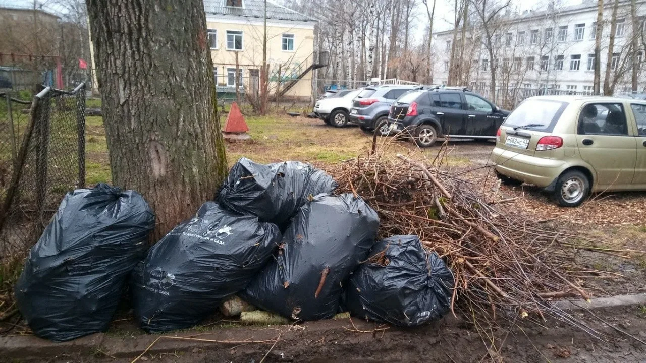 Вывоз мусора после субботника в Черемхове от ПроМусор – уборка и утилизация отходов от 2450 руб