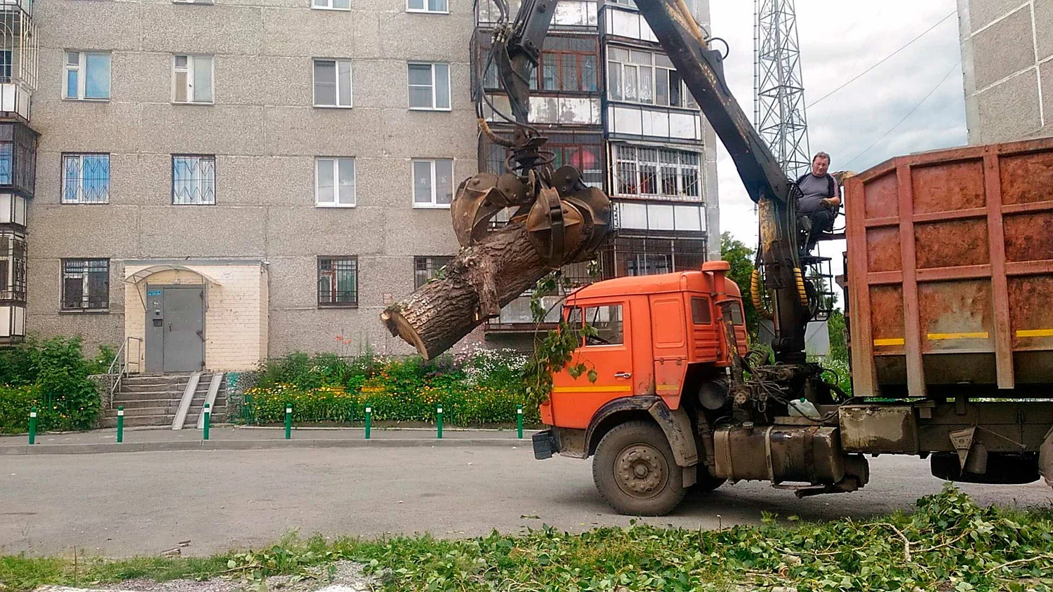 Вывоз спиленных веток и деревьев в Черемхове от ПроМусор: порубочные остатки, утилизация, цена от 3024 руб