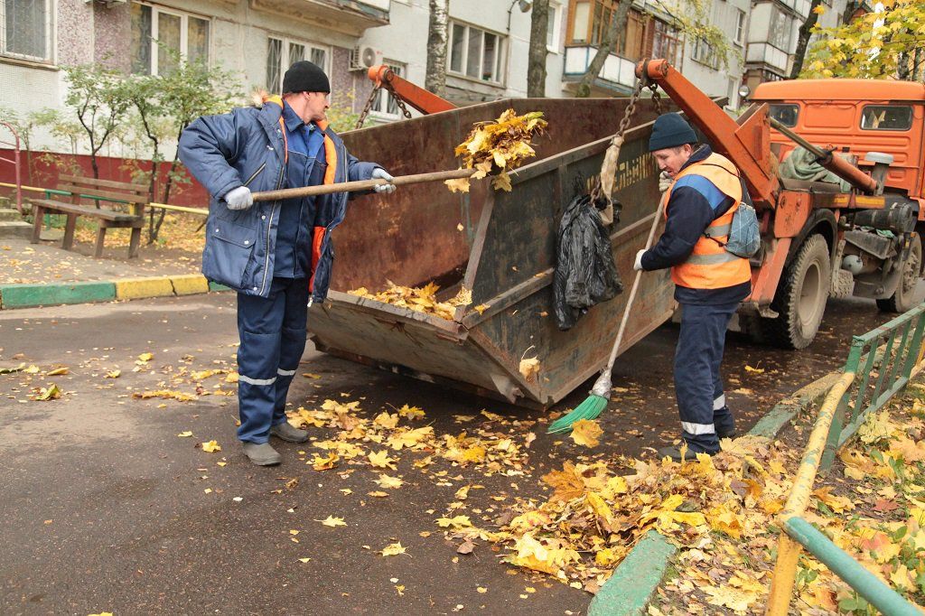Вывоз опавшей листвы и растительного мусора в Черемхове от ПроМусор – цена от 4692 руб., быстрая уборка и утилизация